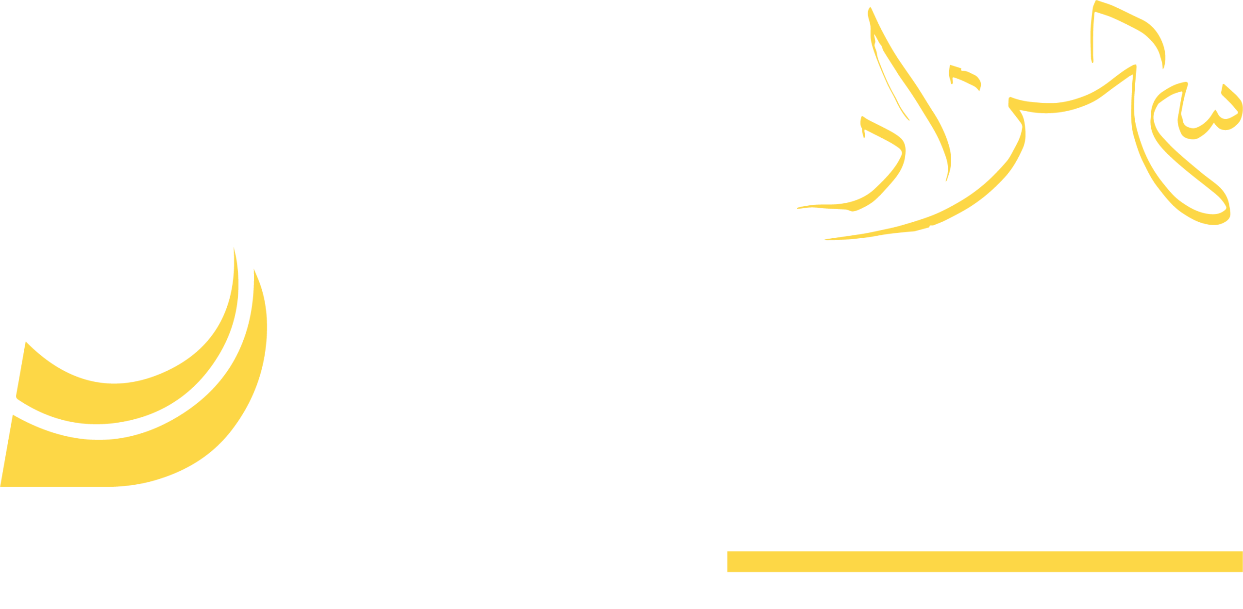 Danish Shahzad